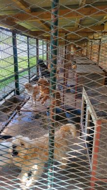 Foto Hilfsfahrt Sarajevo