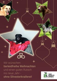 Foto Hilfsfahrt Sarajevo