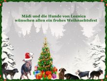 Frohe Weihnachten